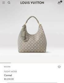Picture of Louis Vuitton Handbags _SKUfw233561756fw
